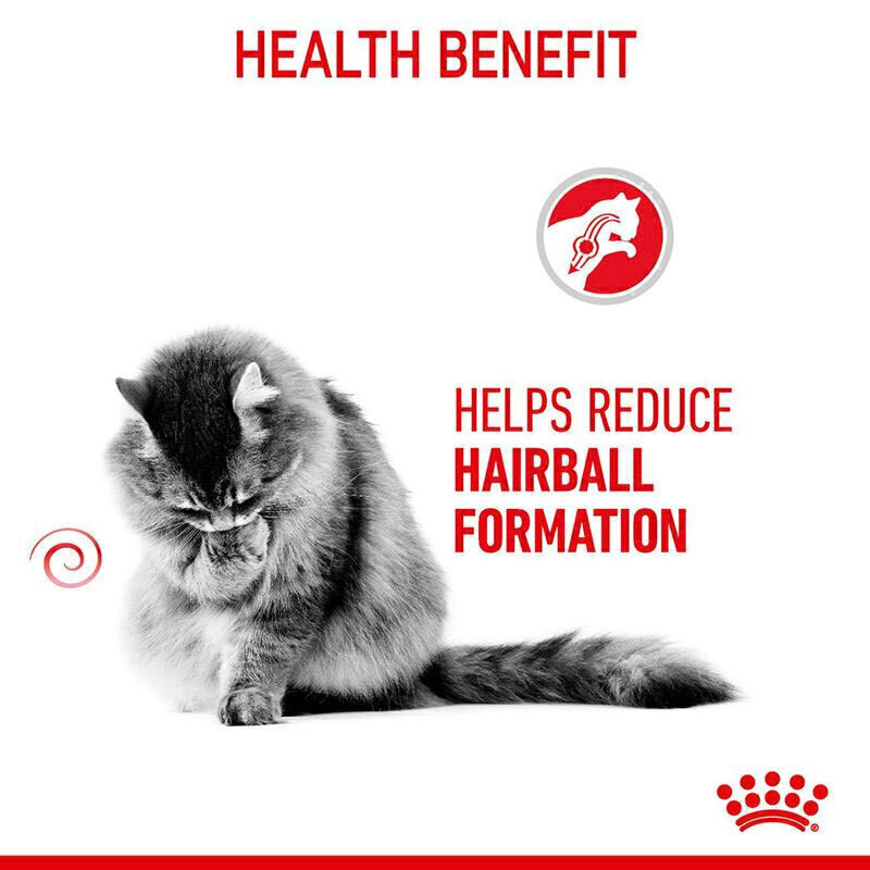  عکس به همراه ویژگی های غذای خشک گربه ضد گلوله‌مویی رویال کنین Royal Canin Hairball Care وزن 2 کیلوگرم 