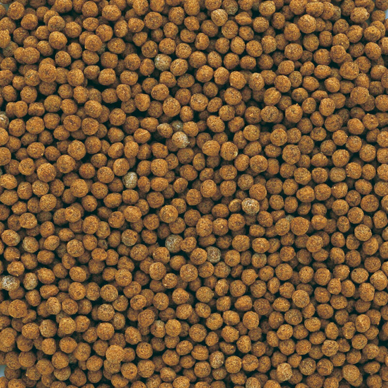  تصویر 2 غذای گرانوله ماهی گلدفیش تترا Tetra Goldfish Granules حجم 100 میلی لیتر 