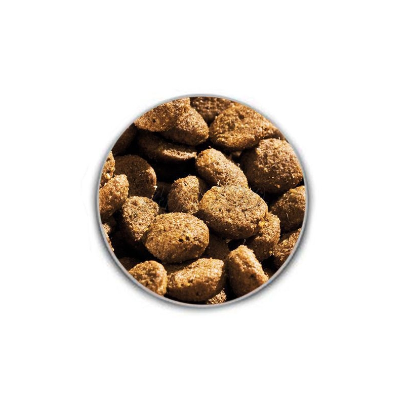  تصویر دانه غذای خشک سوپر پرمیوم سگ هپی داگ Happy Dog Sensible Mini Neuseeland وزن 4 کیلوگرم 