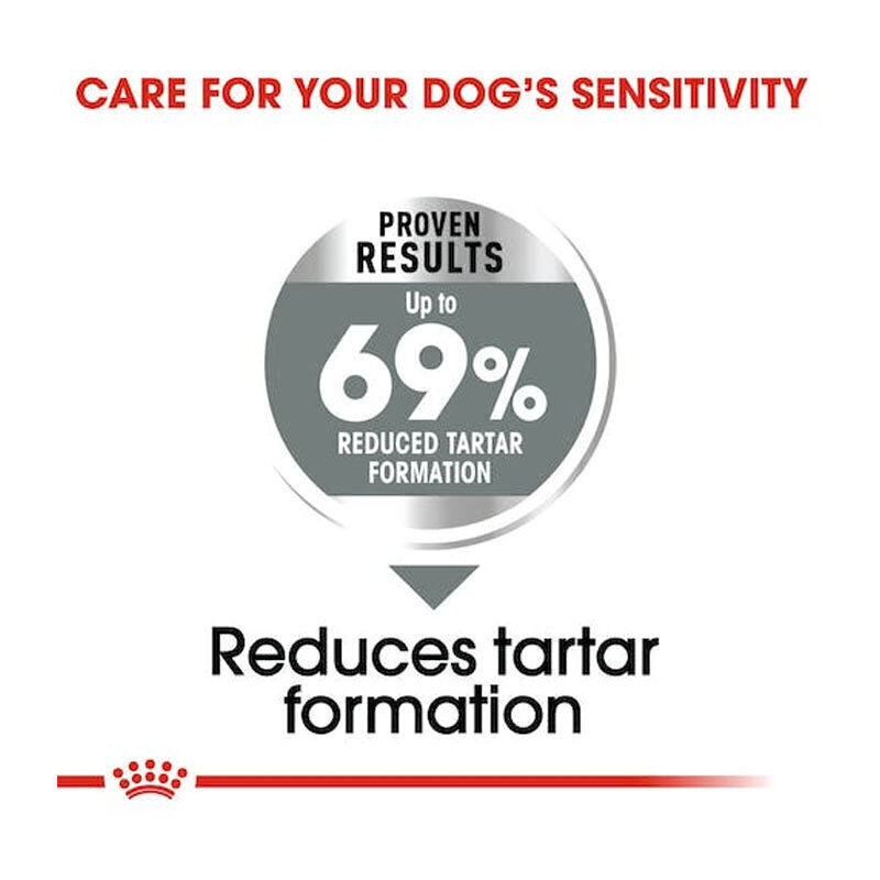  تصویر دوم ویژگی غذای خشک سگ دنتال رویال کنین Royal Canin Dental Care Mini وزن 3 کیلوگرم 