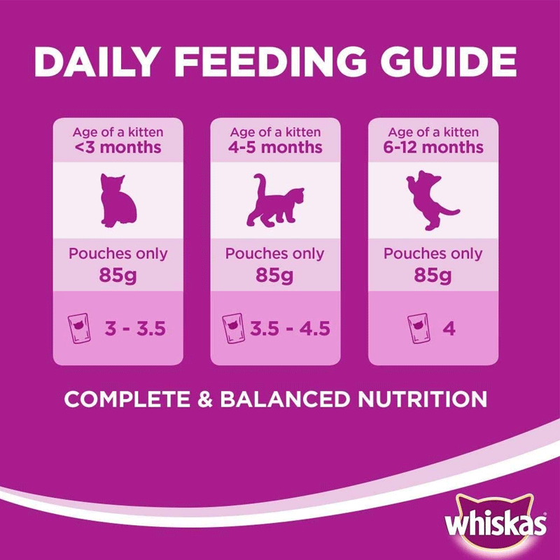  تصویر توضیحات پوچ بچه گربه ویسکاس مدل Poultry وزن 85 گرم 