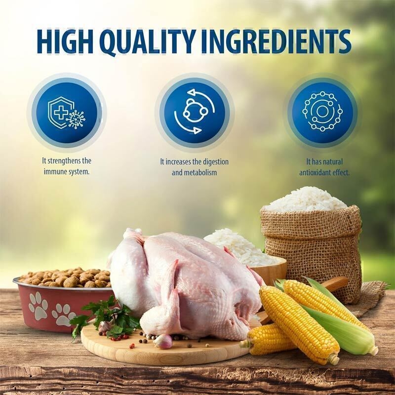  تصویر تبلیغاتی ویژگی های غذای خشک گربه با طعم مرغ مدل گورمِ رفلکس پلاس Reflex Plus Adult Gourmet وزن 15 کیلوگرم 