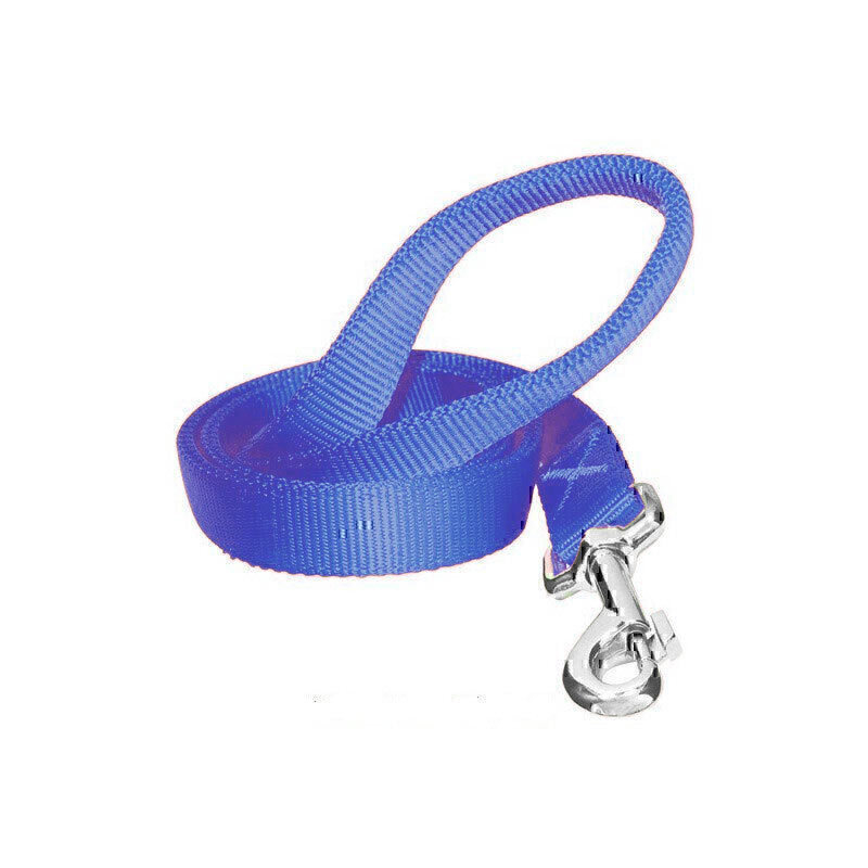  تصویر لید سگ تسمه ای هاگن Hagen Dogit Nylon Leash سایز M رنگ آبی 