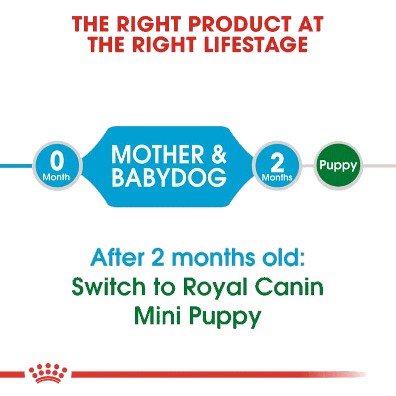  تصویر توضیحات غذای خشک توله سگ نژاد کوچک رویال کنین Royal Canin Mini Starter وزن 3 کیلوگرم 