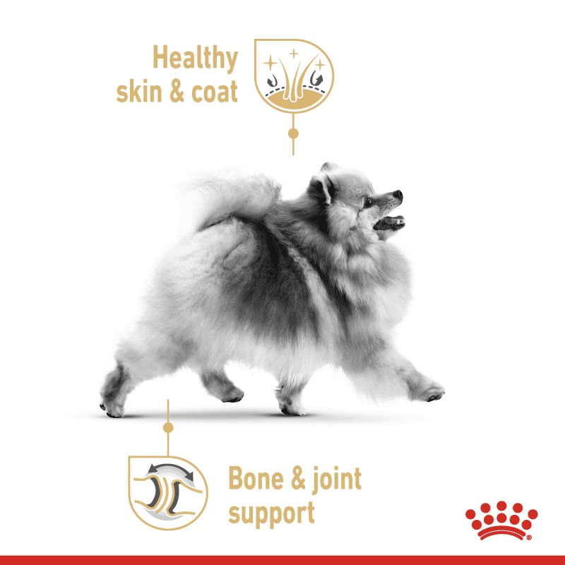  عکس جلد غذای خشک سگ بالغ رویال کنین با طعم مرغ Royal Canin Adult Pomeranian وزن 3 کیلوگرم 