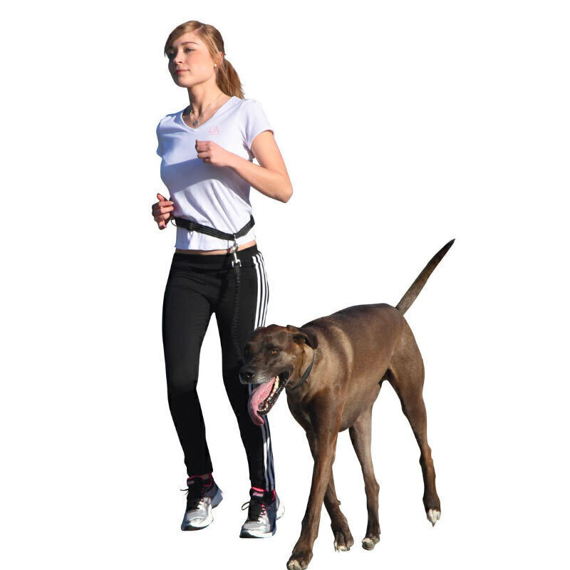  تصویر سبک زندگی سوم لید کمری مخصوص پیاده روی سگ کربل Kerbl Running Leash 