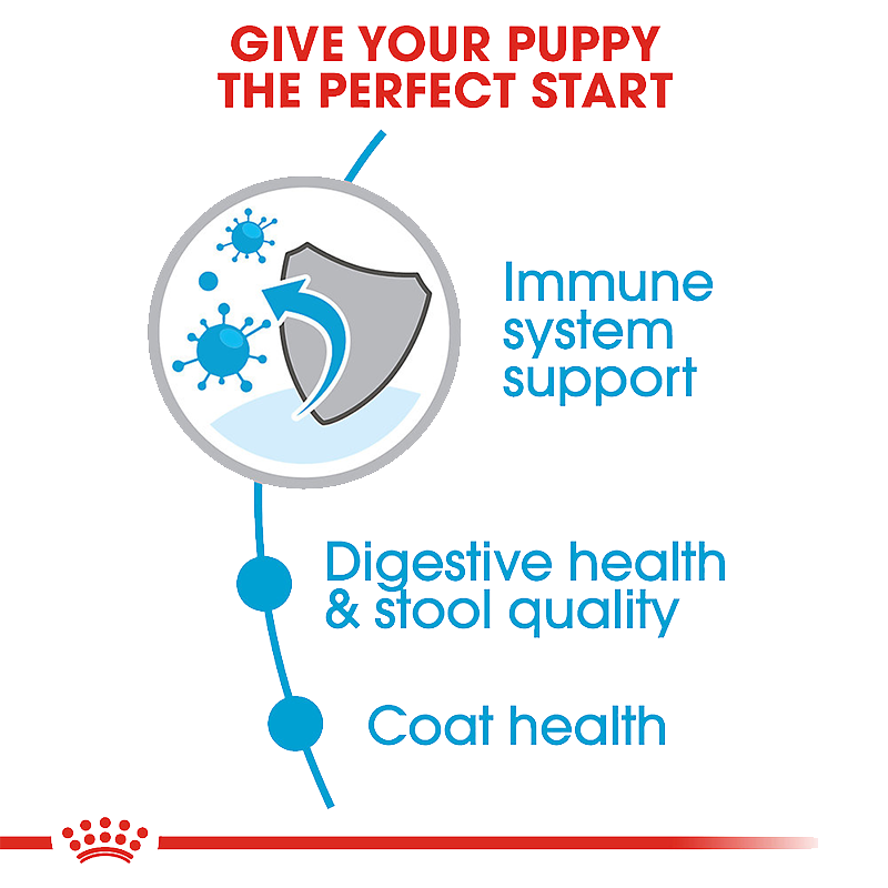  عکس جزییات غذای خشک توله سگ رویال کنین مدل Royal Canin Small Indoor Puppy/Chiot وزن ۱.۵ کیلوگرم 