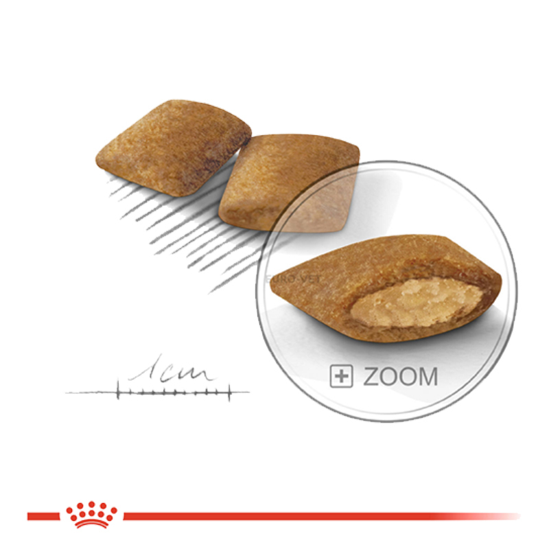  عکس دانه غذای خشک سگ رویال کنین Royal Canin Mini Exigent وزن 1 کیلوگرم 