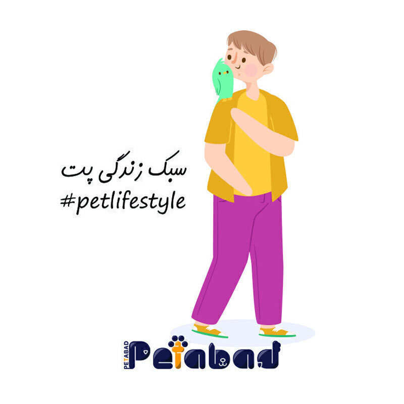  تصویر پیکسل آهنربایی - طرح پرندگان 
