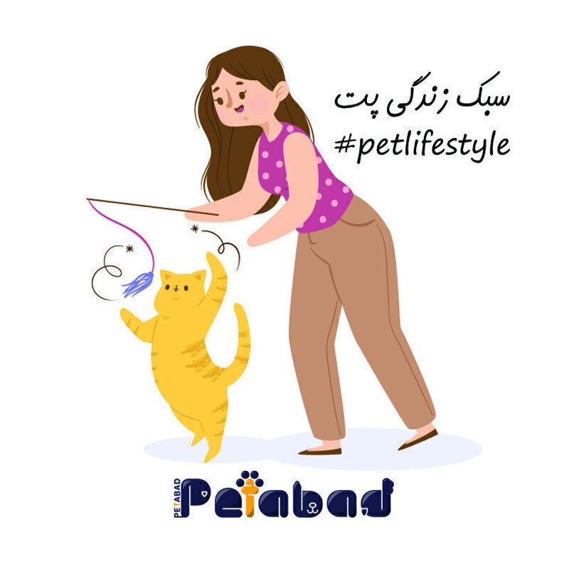  تصویر پیکسل آهنربایی - طرح گربه 