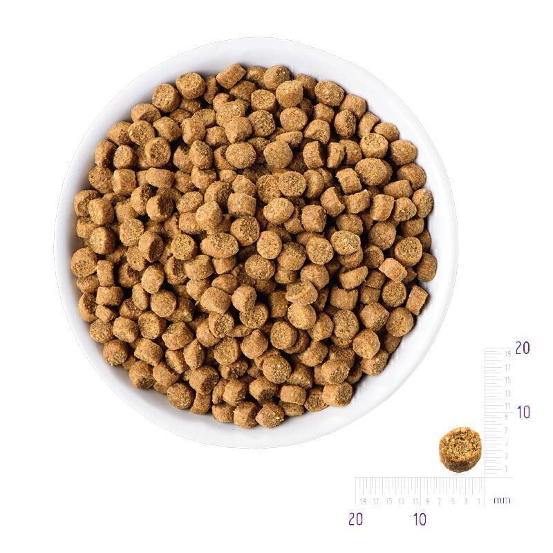  تصویر دانه بندی غذای خشک گربه بالغ با طعم مرغ رفلکس پلاس Reflex Plus Adult Chicken وزن 15 کیلوگرم 
