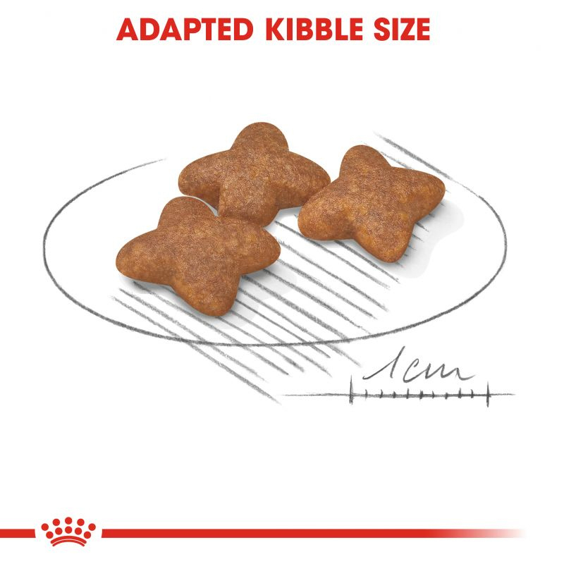 عکس دانه غذای خشک سگ رویال کنین Royal Canin Mini Adult وزن 2 کیلوگرم