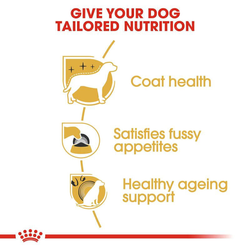  عکس اینفوگرافی ویژگی‌های غذای خشک سگ یورکشایر تریر رویال کنین مدل Royal Canin Adult Yorkshire Terrier وزن 1.5 کیلوگرم 