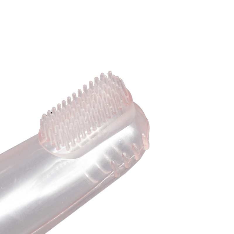  تصویر نمای نزدیک بسته مسواک و خمیر دندان سگ و گربه مدل Dental Cleaning مجموعه ۲ عددی 