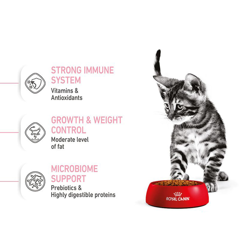  تصویر توضیحات دیگر غذای خشک بچه گربه عقیم شده رویال کنین Royal Canin Kitten Sterilised 