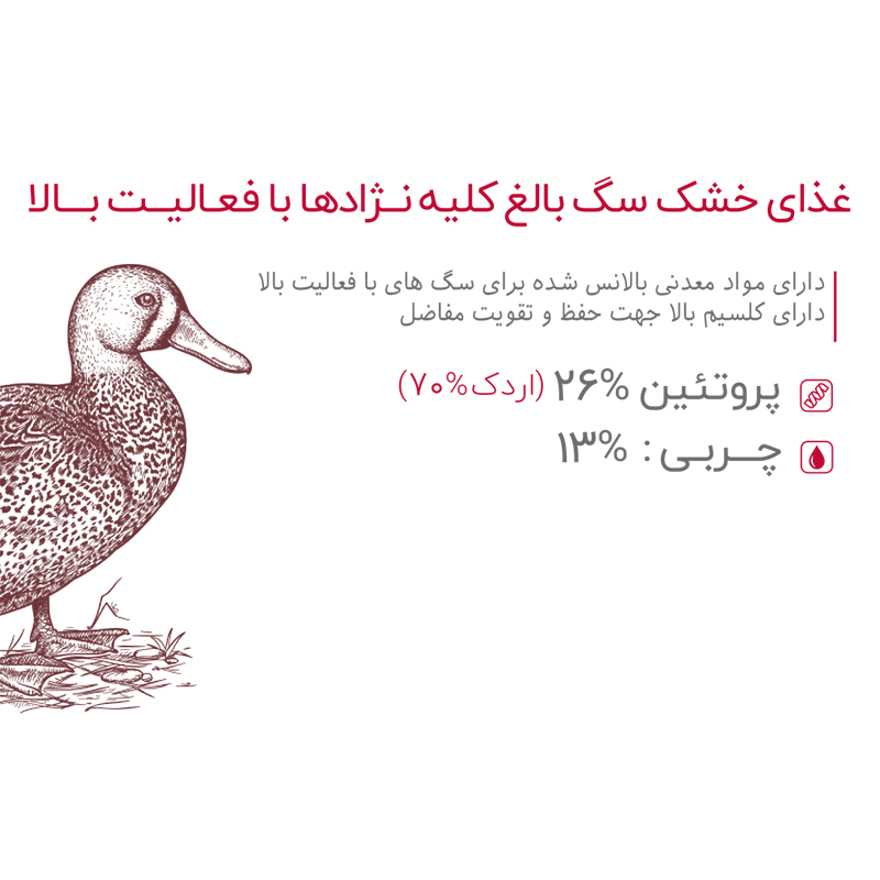  غذای خشک سگ بابین Babin Adult Effort وزن 15 کیلوگرم 