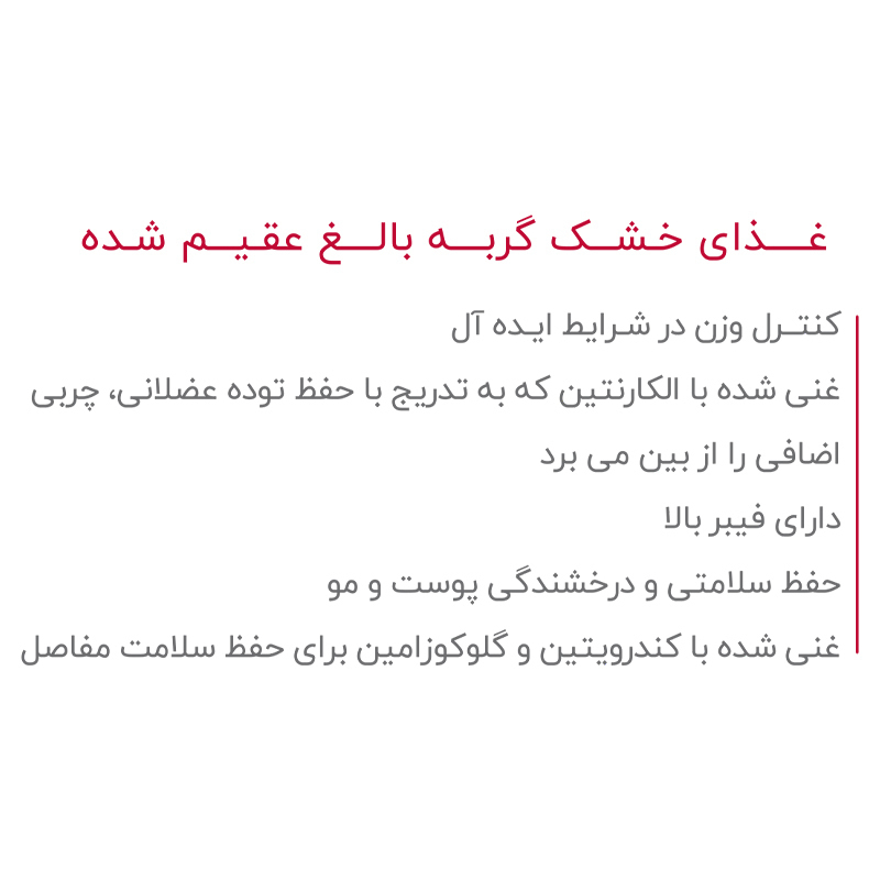  کاتالوگ 