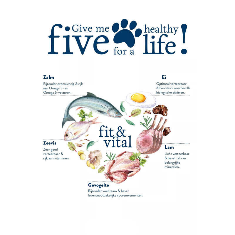  تصویر توضیحات غذای خشک سگ بالغ نژاد کوچک هپی داگ Happy Dog Supreme Fit & Vital Mini Senior وزن 4 کیلوگرم 