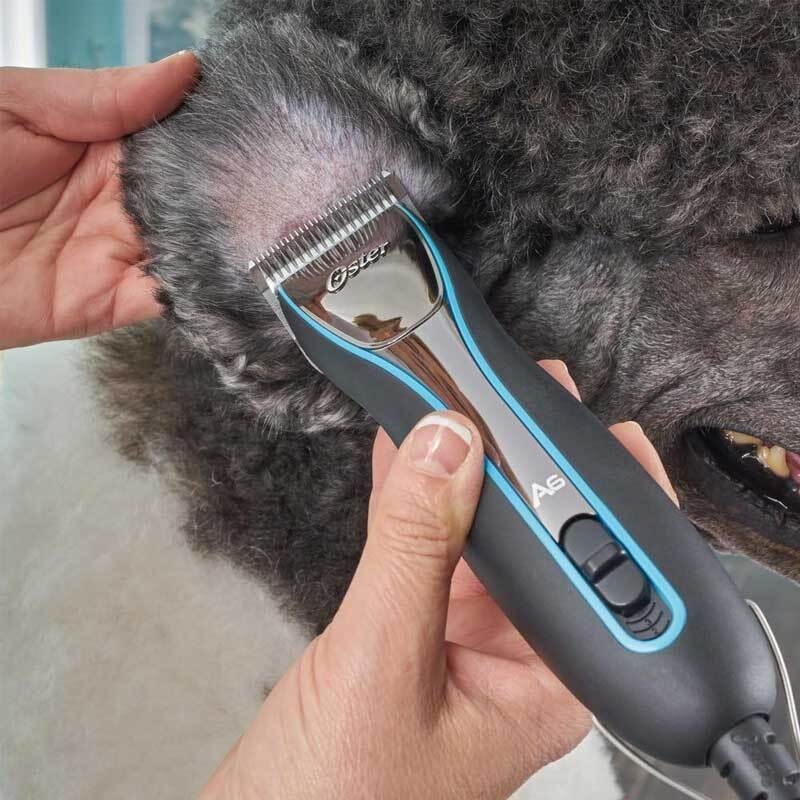  عکس ماشین اصلاح استر Oster Powerful A6 Heavy Duty در حال اصلاح یک سگ با موی تیره 