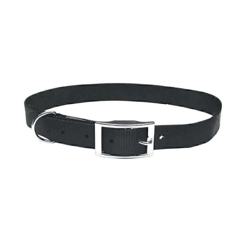  عکس قلاده گردنی تسمه ای سگک دار بدون لید سگ هاگن Hagen Dogit Nylon Collar with Buckle سایز XL رنگ مشکی 
