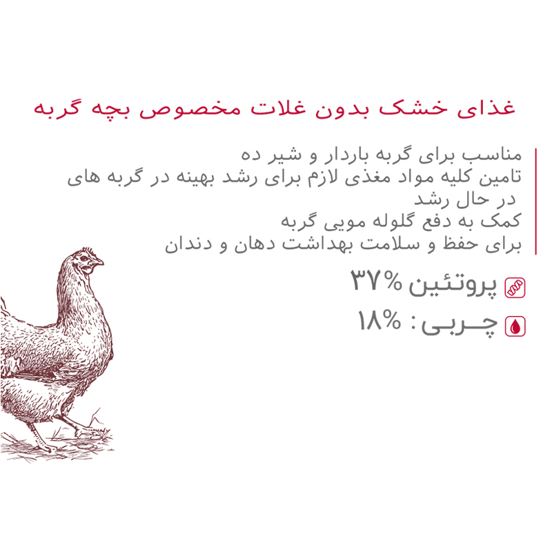  کاتالوگ 