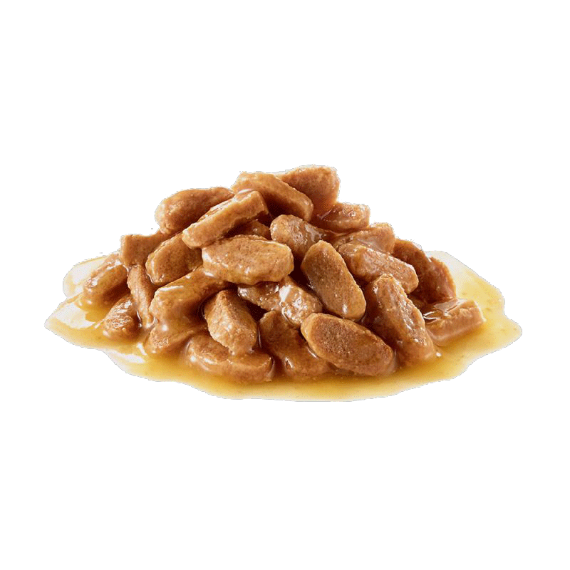  تصویر نمونه پوچ توله سگ رویال کنین Royal Canin Mini Puppy وزن ۸۵ گرم 