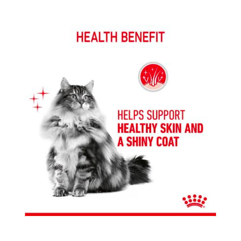  تصویر پوچ گربه رویال کنین Royal Canin Hair & Skin وزن 85 گرم 