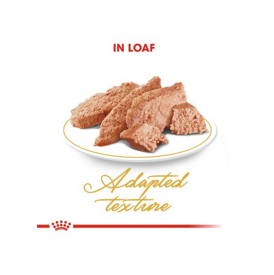  عکس محتویات پوچ گربه رویال کنین مدل Persian Adult وزن 85 گرم 